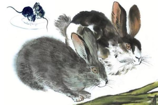 兔子命：揭秘属兔人的性格与命运