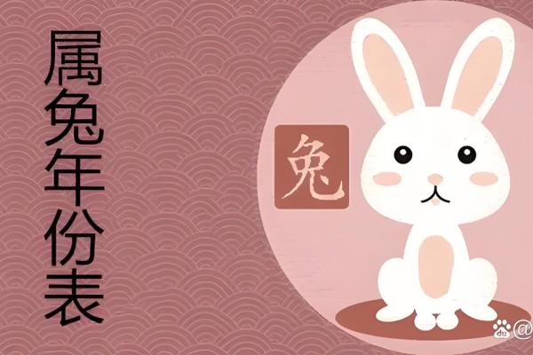 兔子命：揭秘属兔人的性格与命运