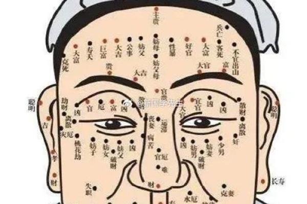 探秘己巳大林木的命运与性格特征 探秘己巳大林木的命运与性格特征