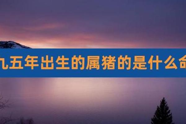 山头火命属猪:探索火焰与温暖的交织人生 山头火命属猪:探索火焰与温暖的交织人生