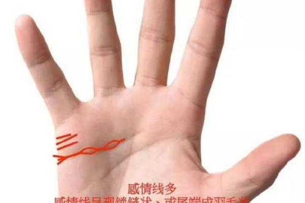 1965年属猪的人命运分析:财富与人际关系的掌控之道 1965年属猪的人命运分析:财富与人际关系的掌控之道