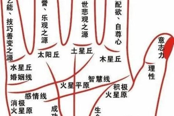 揭秘大腿细的人命运：从外貌看内心与人生的秘密