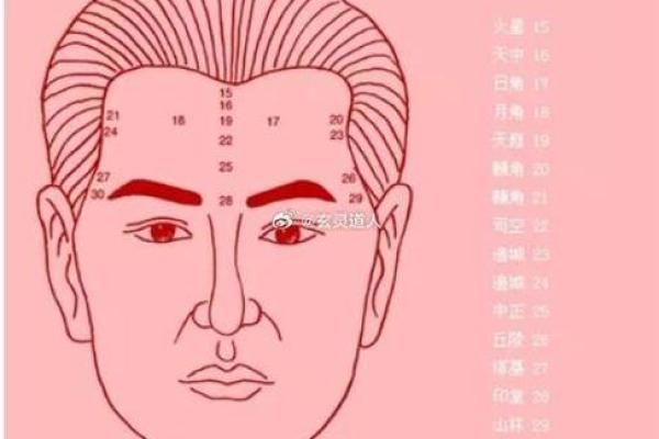 算命与面相:透过面相了解一个人的命运轨迹 算命与面相:透过面相了解一个人的命运轨迹