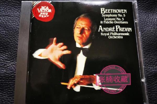 命运的交响曲：探索“命”字背后的无限可能