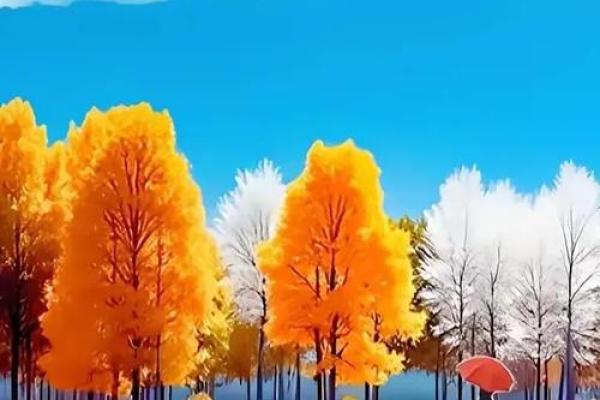 命运交织的音乐旋律:《天注定》深度解析 命运交织的音乐旋律:《天注定》深度解析