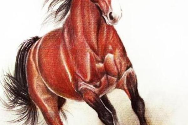 1990年属马的命运解析:探寻人生的方向与意义 1990年属马的命运解析:探寻人生的方向与意义