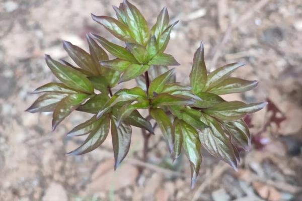 命硬之人适合从事的行业与选择的智慧