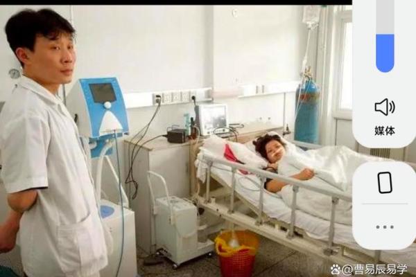 金蛇命与适合的属性分析：寻找命理中的最佳搭档