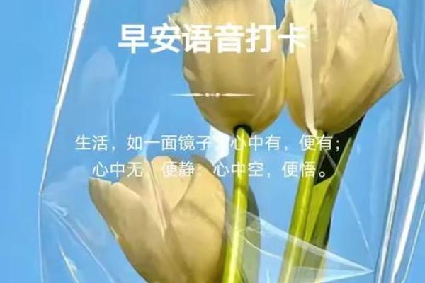 捡到一条命:揭示生命重启的五味杂陈体验 捡到一条命:揭示生命重启的五味杂陈体验