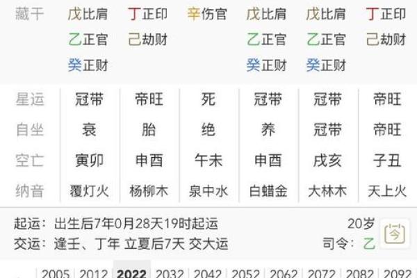 探索乙巳年的命运:解析出生年份与命理的关系 探索乙巳年的命运:解析出生年份与命理的关系