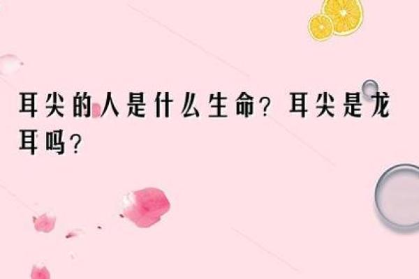 探秘属狗之人：正月十三出生的命运与性格解析