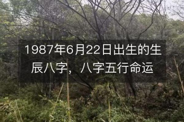 1987年属兔男性的命运解析与人生指南