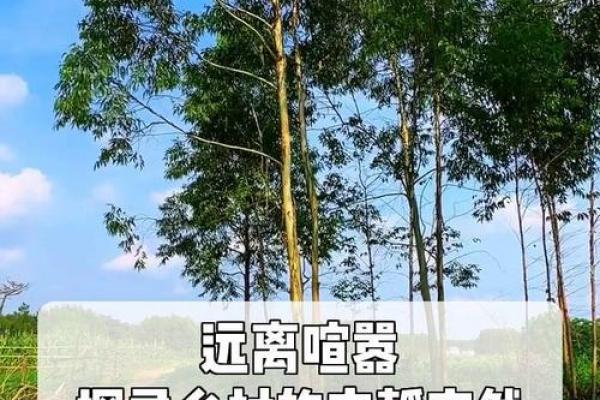 探寻宁静的命理属相：她的性格与天赋一窥究竟