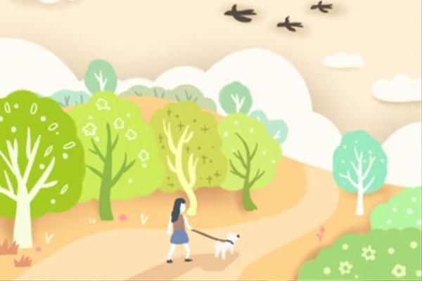 水鼠命与最佳配命解析:寻找幸福的水鼠之路 水鼠命与最佳配命解析:寻找幸福的水鼠之路