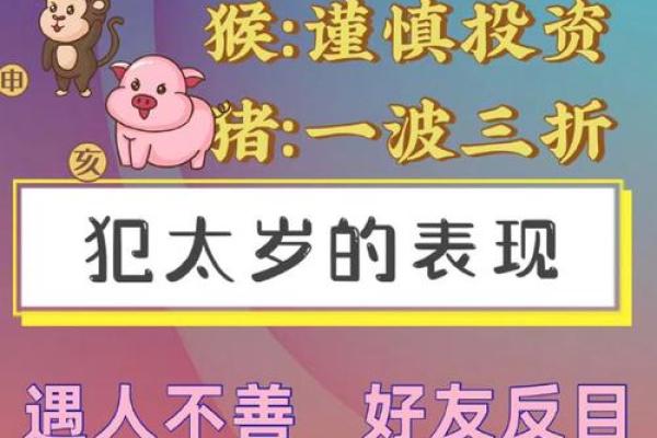 女命缺什么生肖最适合,生肖搭配解析与建议 女命缺什么生肖最适合,生肖搭配解析与建议