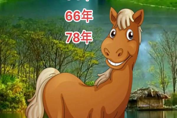 探索属鸡人的命运：54年的丰富人生与智慧