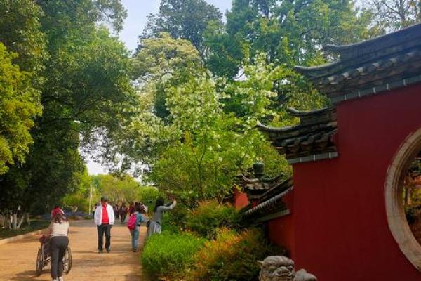 探寻2018年初二宝宝的命运与未来：生肖与命理的奥秘