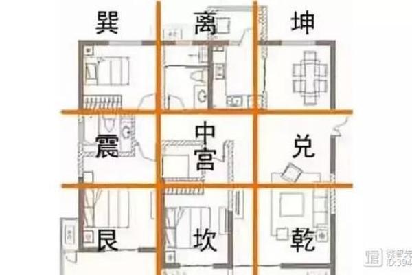 金命家庭养什么动物最合适？揭开家居风水之谜！