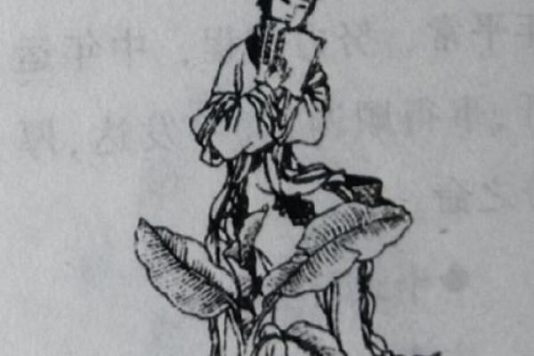 搜戊寅年生人命运解析：性格、职业与情感的全面剖析