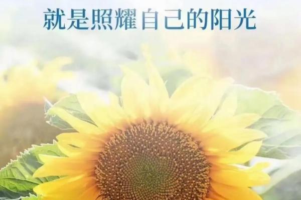 没有下巴的人命格解析：体悟生命的独特与深刻