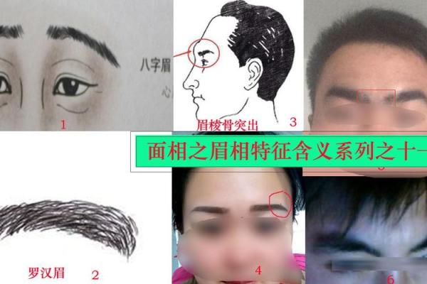 罗汉眉的男人命运：从外表解读内心的深邃