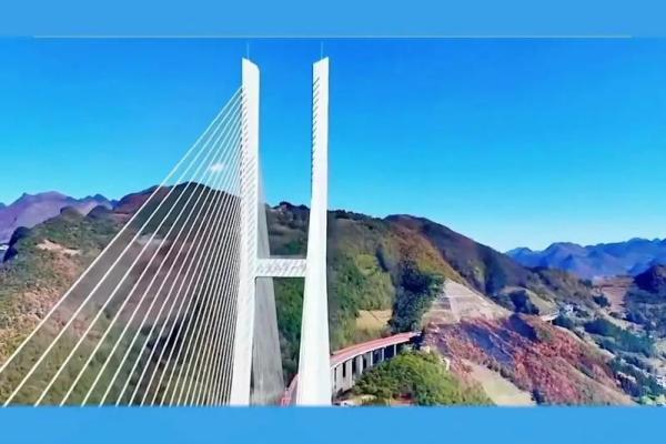 1992年2月的奇迹：探索人与自然的和谐共处之道