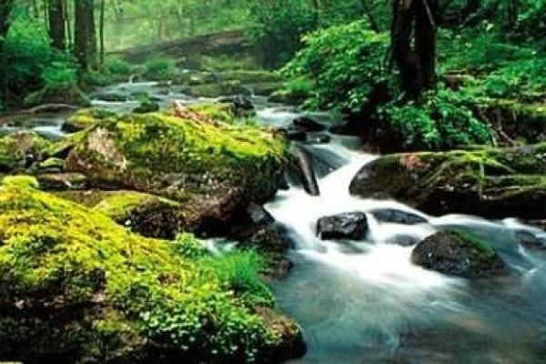 探寻涧下水命:适合佩戴的饰品与注意事项 探寻涧下水命:适合佩戴的饰品与注意事项