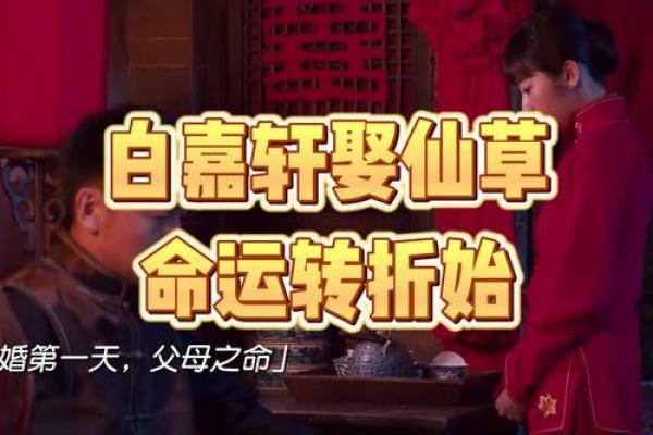 被人收养的命格：命运的转折与璀璨人生