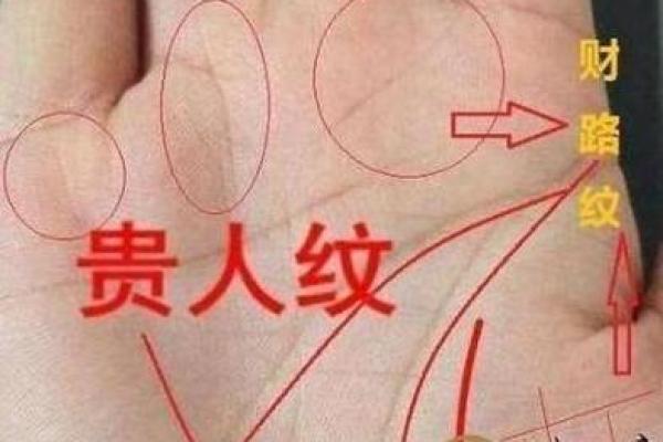 揭示短手指女人的命运：命理与生活的奇妙关联