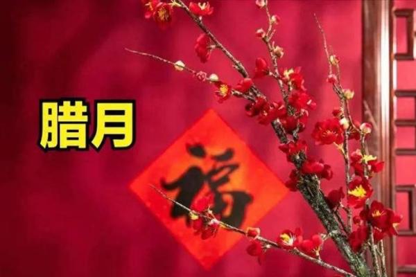 腊月16号命理解析:揭示这一日的神秘与命运特征 腊月16号命理解析:揭示这一日的神秘与命运特征