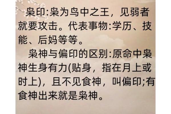 揭秘命理学：适合你的专业与未来发展方向
