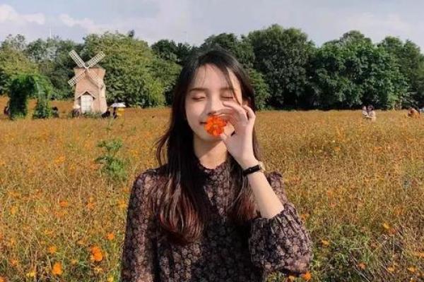 炉中火命适合什么头像？揭示个性特质与形象表达的奥秘