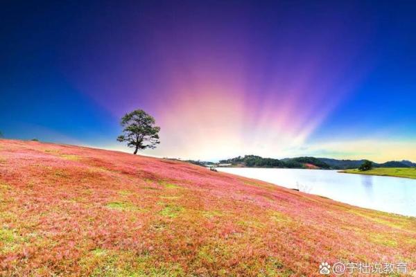 命情感测试:探索自我内心的秘密,开启幸福人生之门 命情感测试:探索自我内心的秘密,开启幸福人生之门