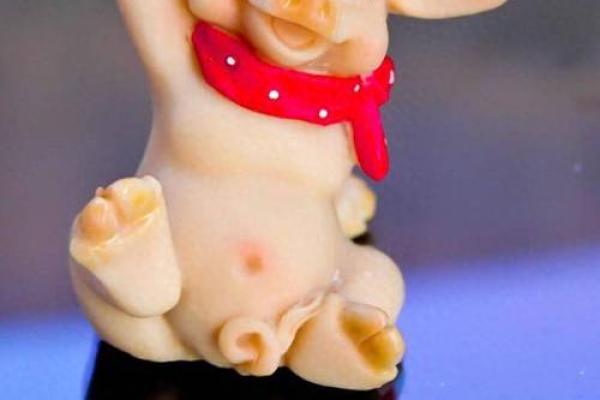 2023年66岁属什么命?解析属猪人的命运与人生智慧 2023年66岁属什么命?解析属猪人的命运与人生智慧