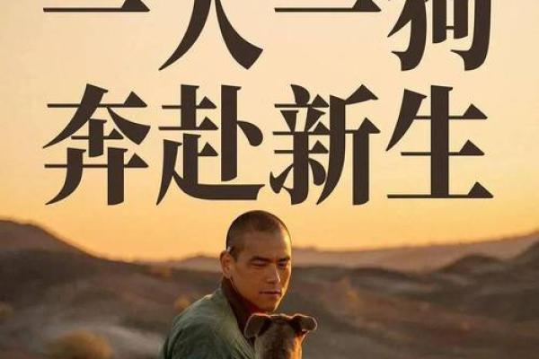 2019年狗年命理分析:揭秘你的性格与运势潜能 2019年狗年命理分析:揭秘你的性格与运势潜能