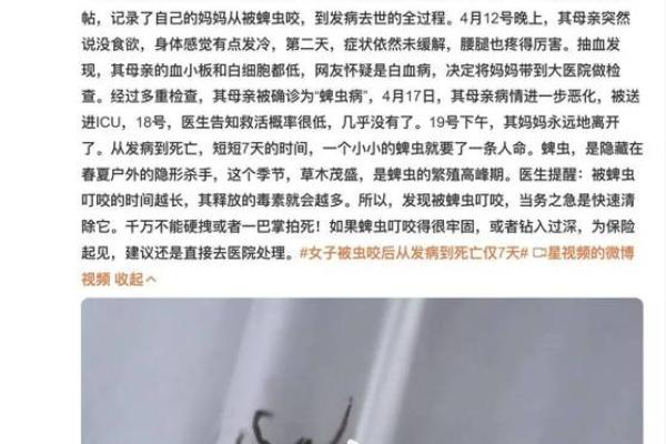 路旁土命者的饰品选择,助你魅力四射! 路旁土命者的饰品选择,助你魅力四射!