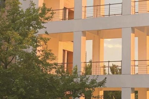 探寻一九九四年:命理与人生的交响曲 探寻一九九四年:命理与人生的交响曲