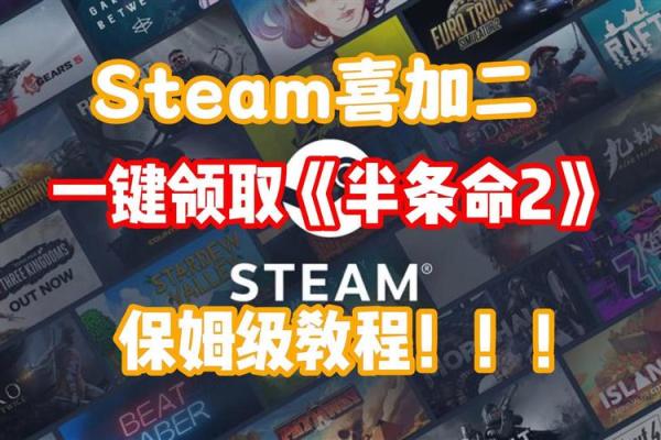 《生命中的那半条命:失去与重生的故事》 《生命中的那半条命:失去与重生的故事》