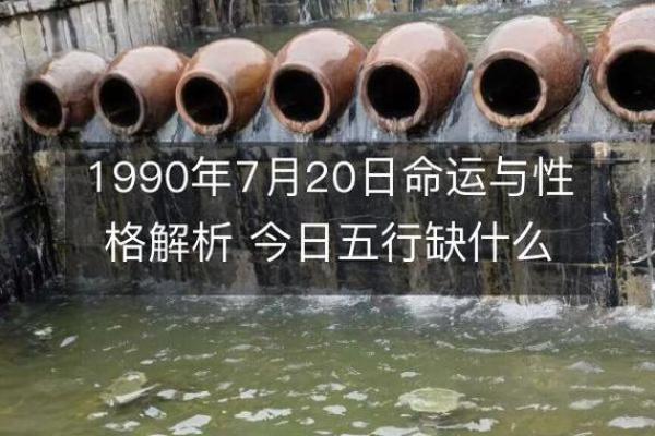 1990年出生女性命运解析:探索自身的优势与挑战 1990年出生女性命运解析:探索自身的优势与挑战