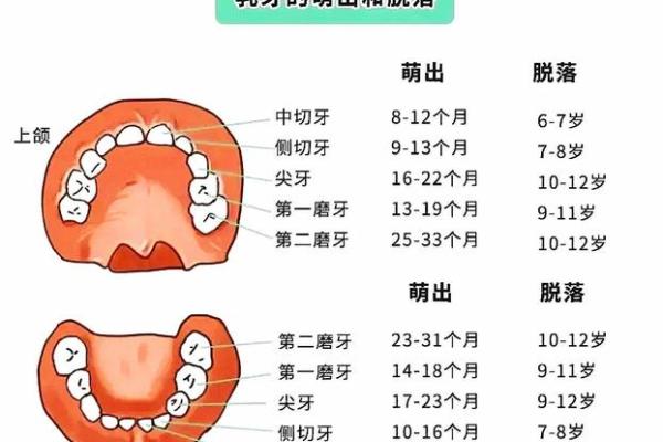 门牙很长的女人:命运与内心的独特旅程 门牙很长的女人:命运与内心的独特旅程