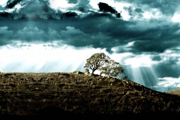 探寻命理学奥秘：如何通过命理了解自己的命运与人生旅程