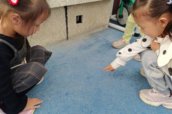 小虫的奇妙历险：负担与成长的故事