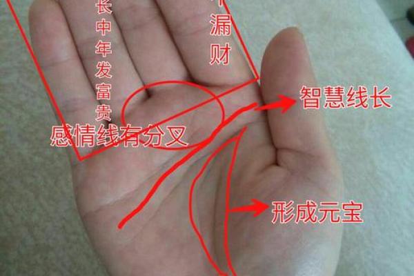 揭秘手相中的“有口”吉凶:掌握命运的秘密 揭秘手相中的“有口”吉凶:掌握命运的秘密