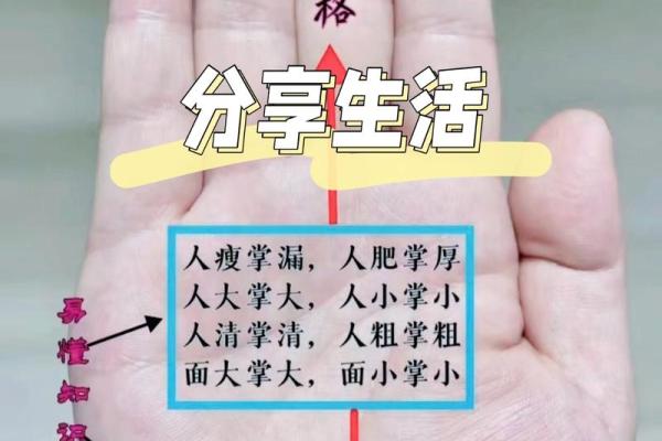 看手相揭秘:洞察你的命运与未来的奥秘 看手相揭秘:洞察你的命运与未来的奥秘