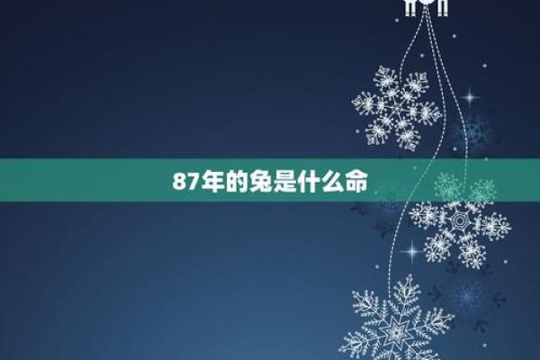 1987年鼠兔命:探索命运与性格的奇妙结合 1987年鼠兔命:探索命运与性格的奇妙结合