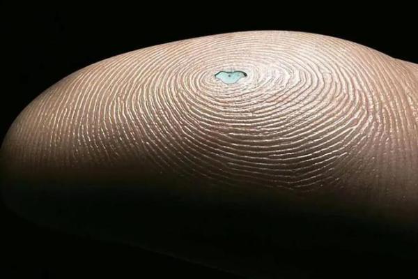 人手指细长的命运解读:揭示个性与未来的奥秘 人手指细长的命运解读:揭示个性与未来的奥秘