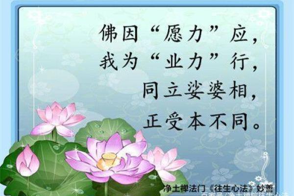探寻延年益寿的法术:如何通过咒语与心灵之力延长生命? 探寻延年益寿的法术:如何通过咒语与心灵之力延长生命?