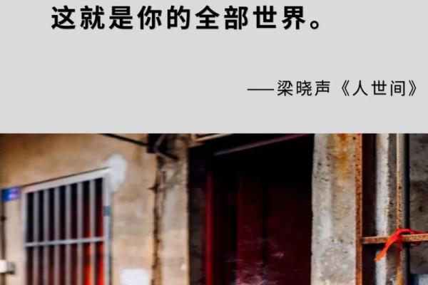 1949年属狗之命:踏实而富有魅力的人生旅程 1949年属狗之命:踏实而富有魅力的人生旅程