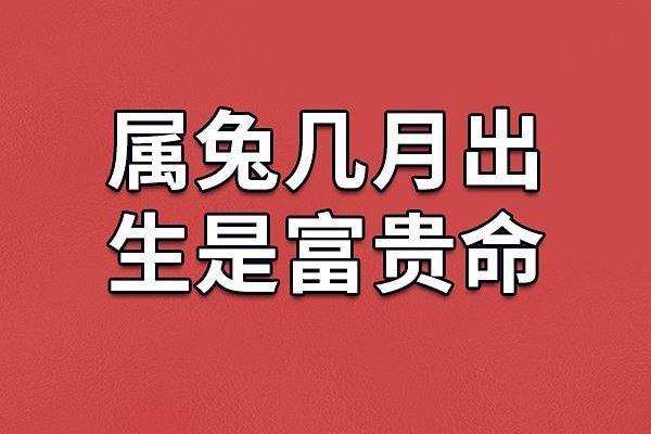 1995年猪年出生的木命人:性格、命运与生活之道 1995年猪年出生的木命人:性格、命运与生活之道