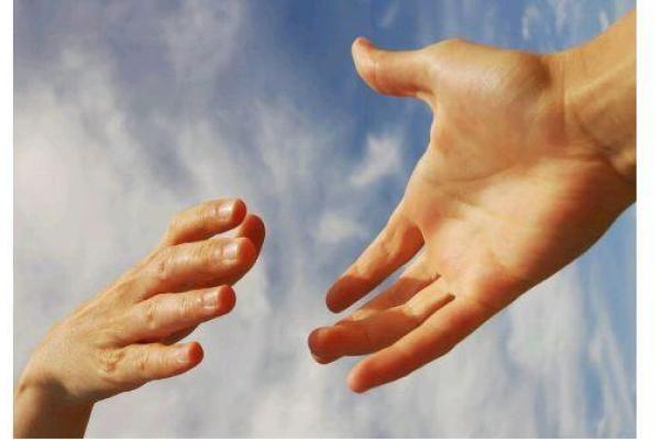 木命之人的理想挂件:风水与运势双重加持的选择 木命之人的理想挂件:风水与运势双重加持的选择